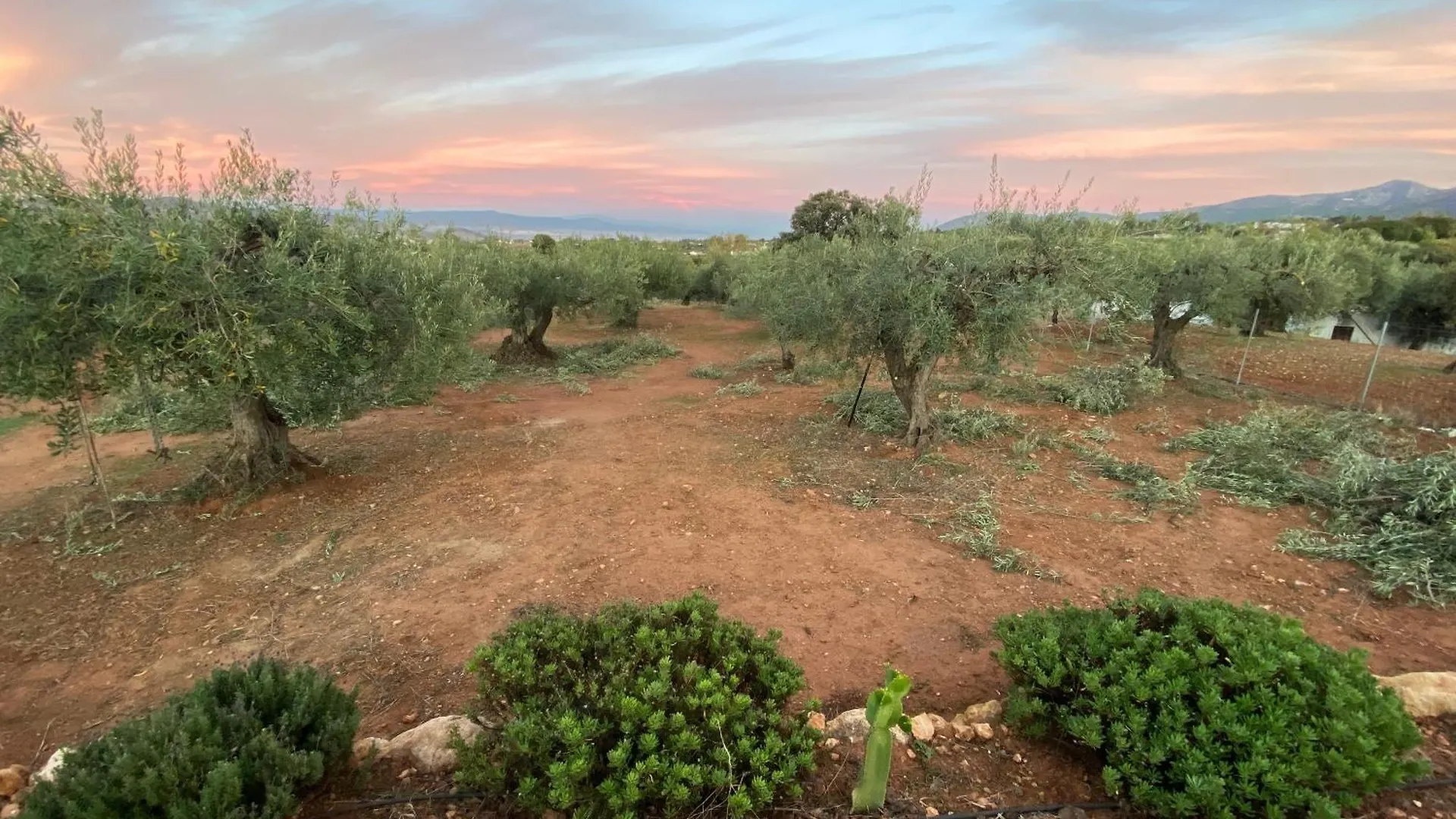 Finca El Pereo Alhaurin el Grande 0*,