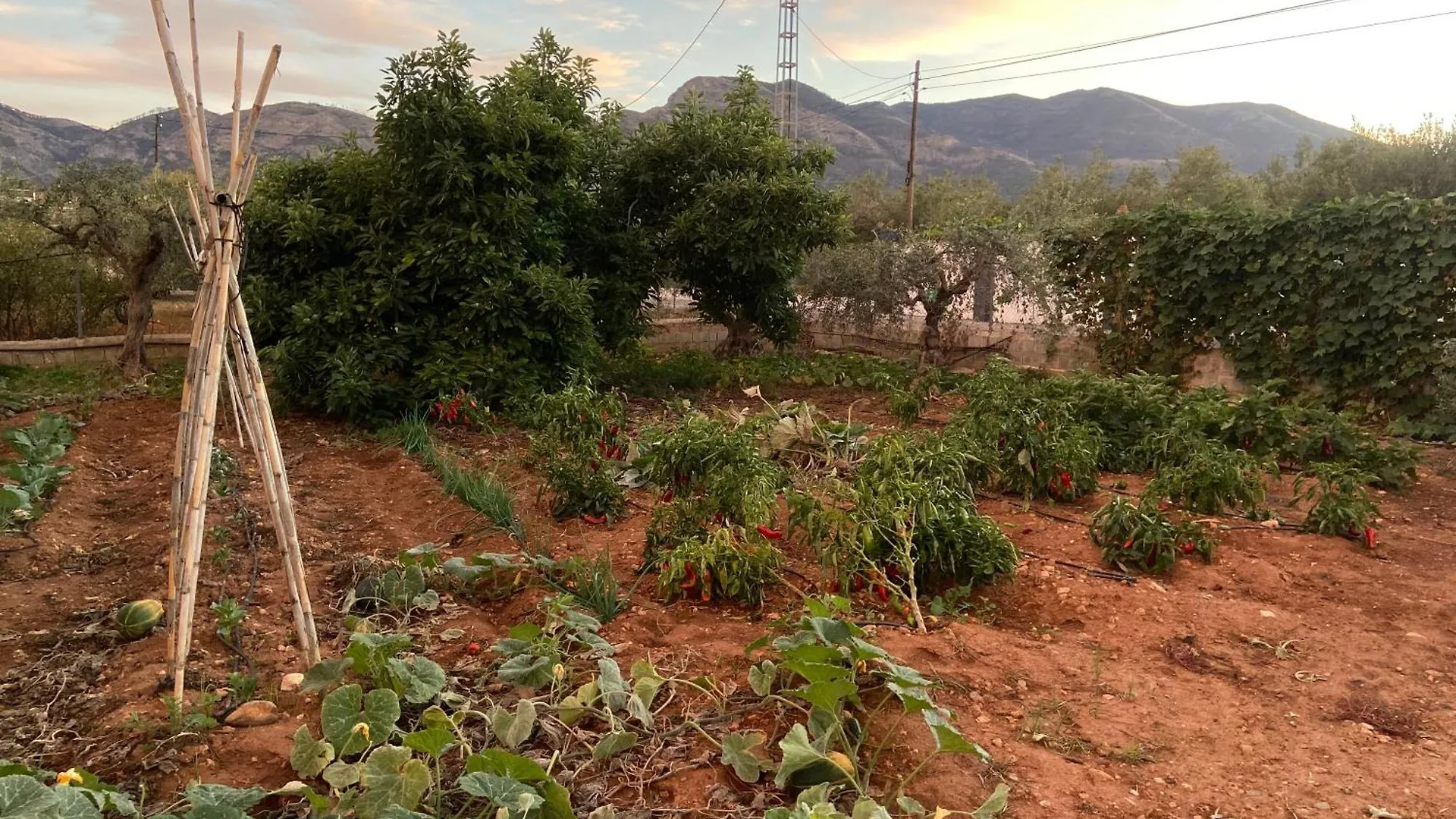 Finca El Pereo Alhaurin el Grande Spain