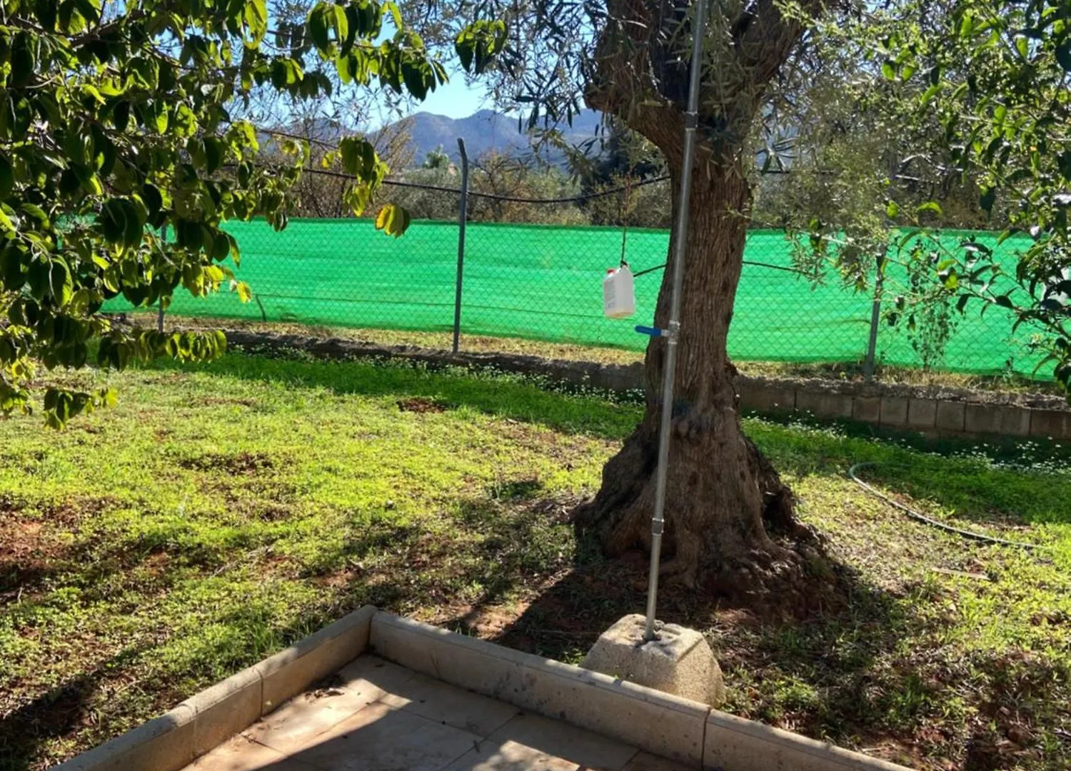 Finca El Pereo Alhaurin el Grande Holiday home