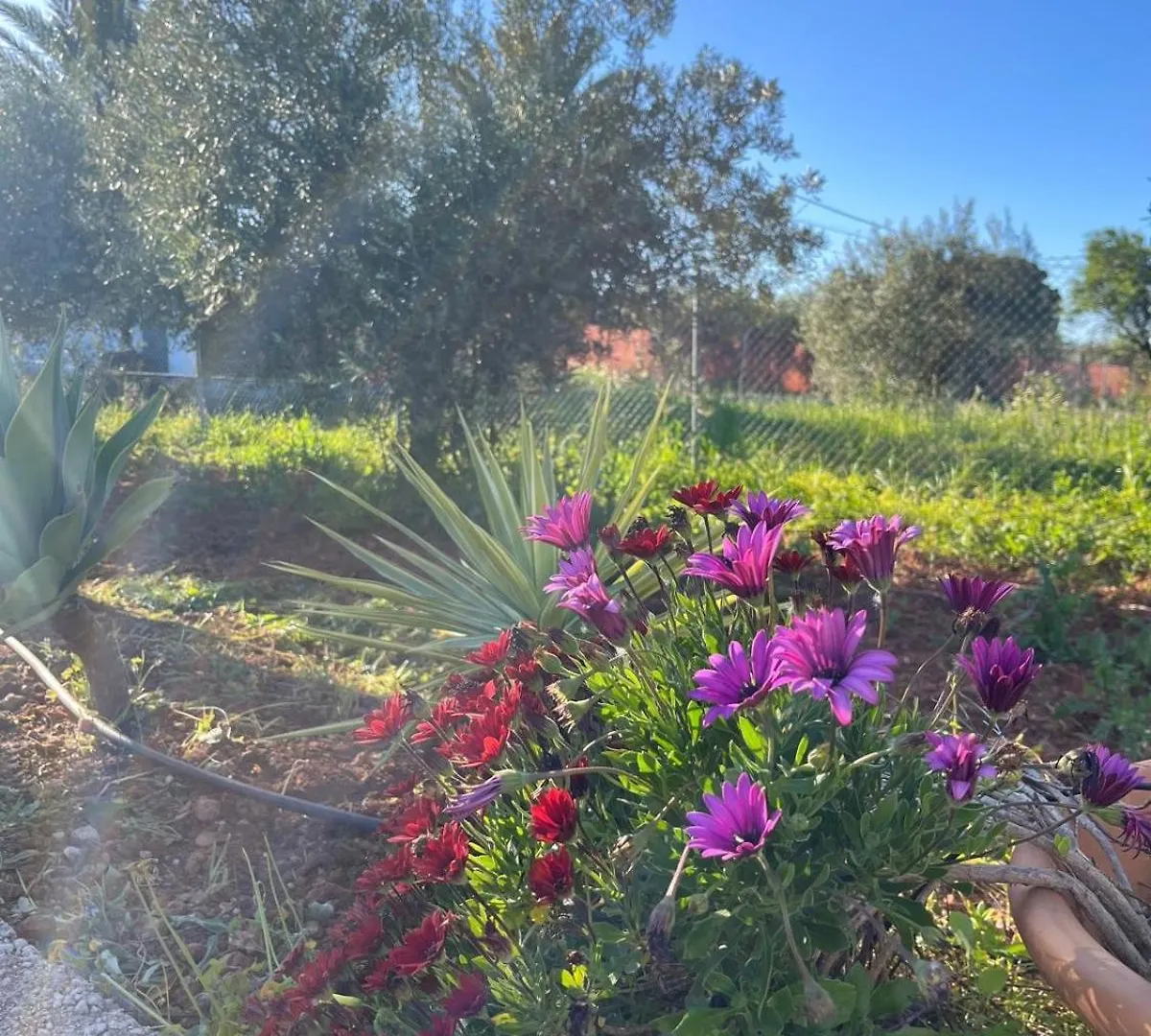 Holiday home Finca El Pereo Alhaurin el Grande