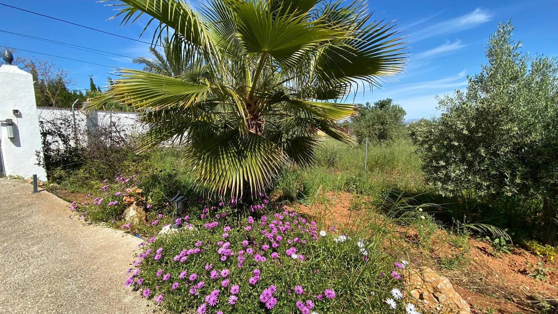 Finca El Pereo Alhaurin el Grande